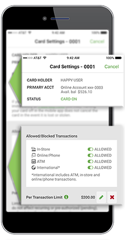 Debit Card Management sample image